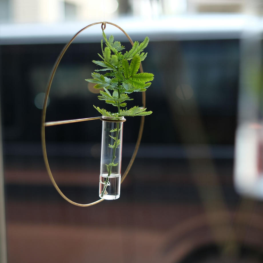 Wall Brass vase | Round, Diamond, or Rectangle - CHERRYSTONEstyle